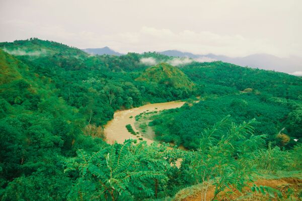 Pourquoi visiter la Guyane ?