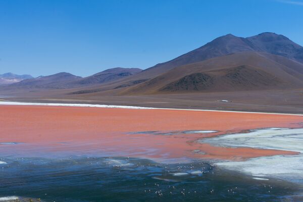 Pourquoi visiter la Bolivie ?