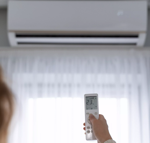 Découvrez nos services