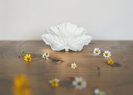Plateau en forme de feuille