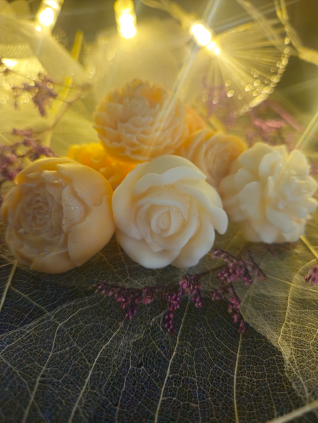 Petites fleurs diverses