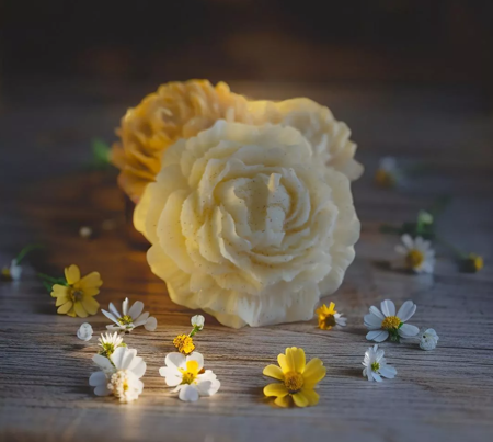 La pivoine