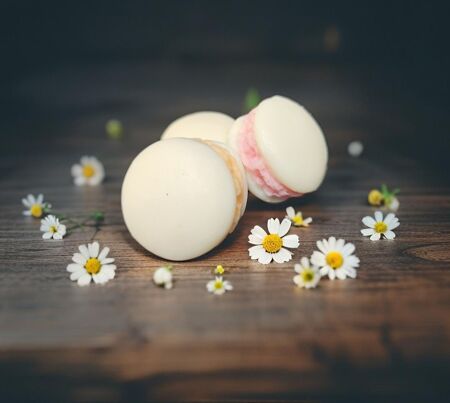 macaron