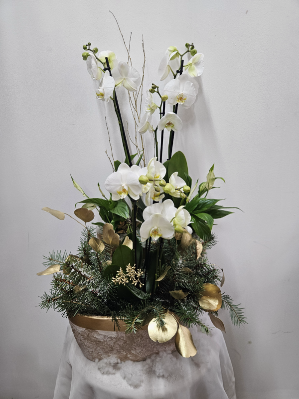 Élégance végétale