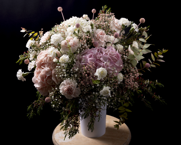 Tendresse d'hortensias