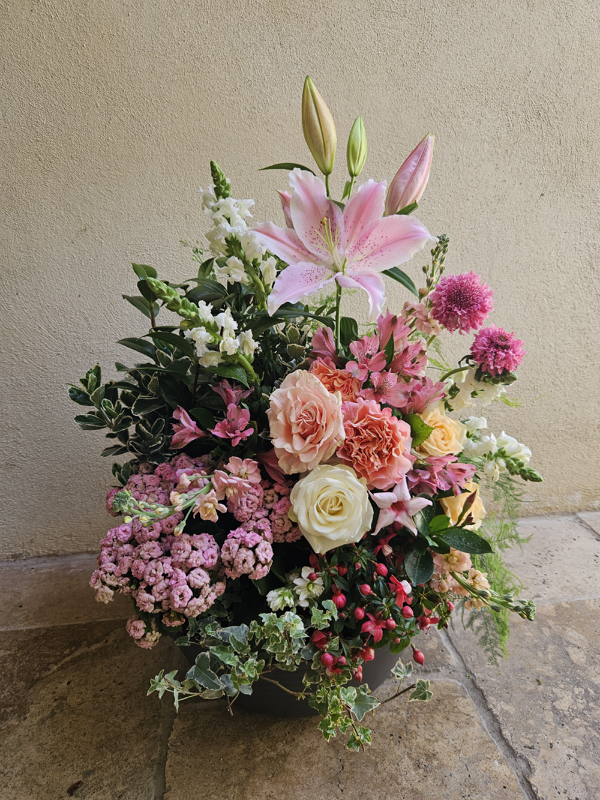 Coupe de plantes