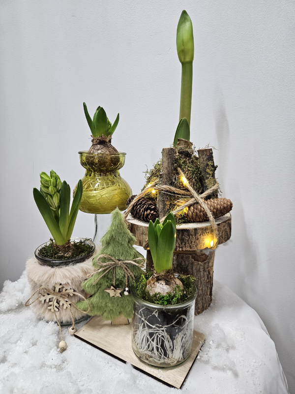 Petites plantes, <br>grandes attentions