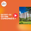 <p>Dans ce