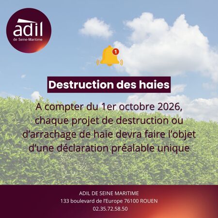 ACTUALITÉ JURIDIQUE : Régime unique de la haie