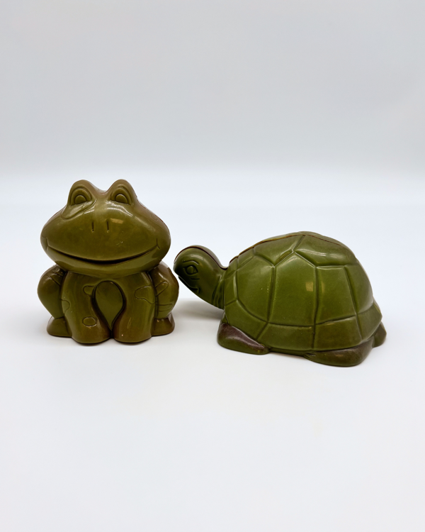LA GRENOUILLE ET LA TORTUE