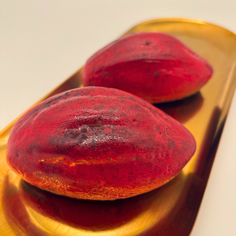 🤎 𝗟𝗔 𝗖𝗔𝗕𝗢𝗦𝗦𝗘 🤎