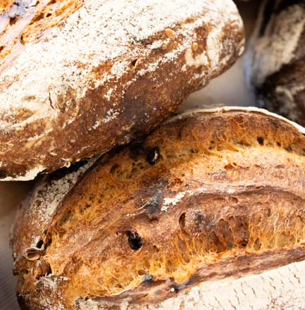 Découvrez la diversité de nos produits n°2