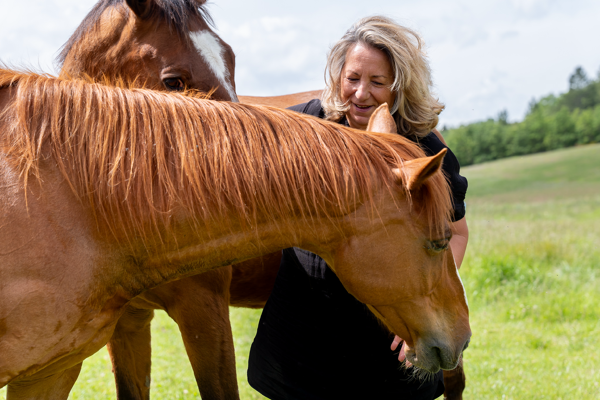 Le cheval, un partenaire puissant