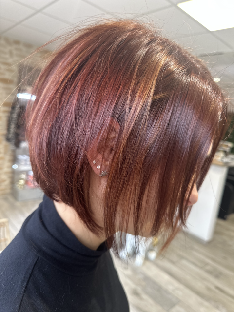 Galerie photo de nos créations coiffure n°0