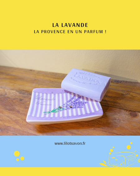 Lavande : bien-être et souvenirs