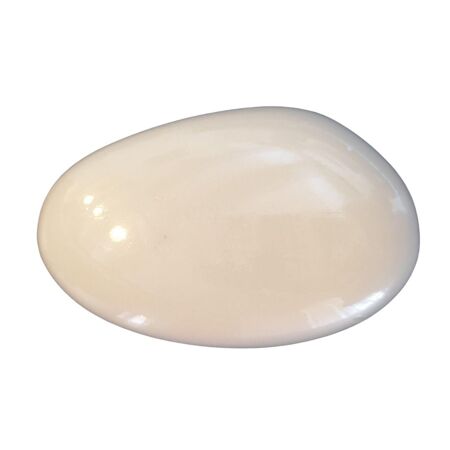 Savon au lait d’ânesse BIO