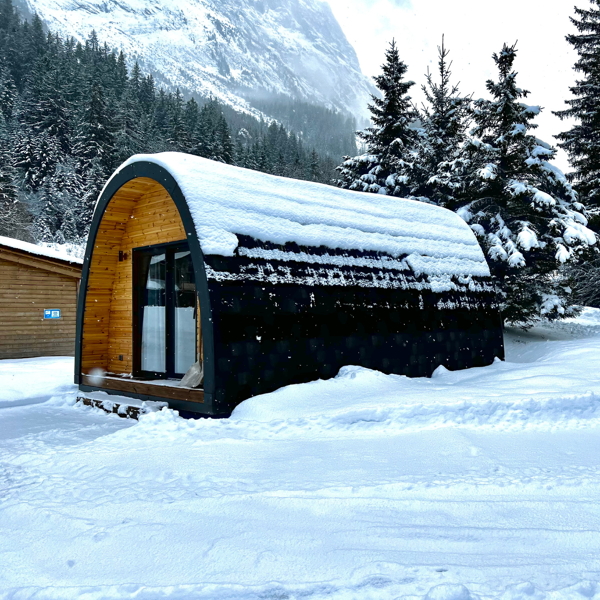 El invernaje: Guía Completa para su Alojamiento