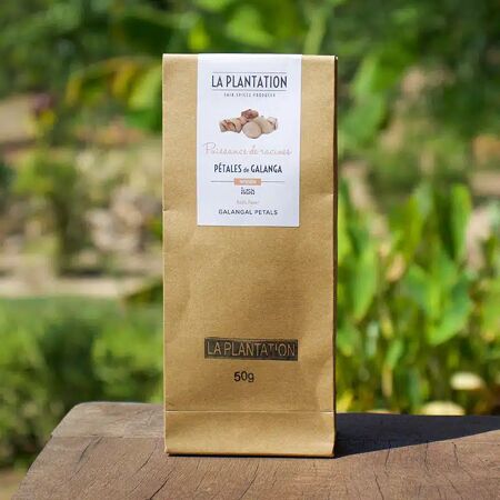 Pétales de Galanga 25G La Plantation