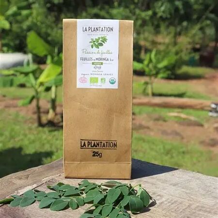 Feuilles de Moringa 25G La Plantation