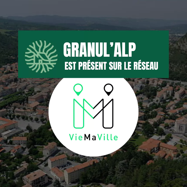 Merci au réseau VieMaVille pour leur accompagnement digital dans la valorisation de notre activité !