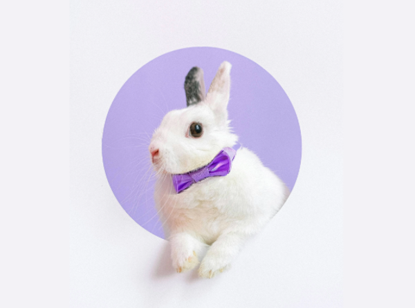 Gérez le quotidien sur votre lieu de vente