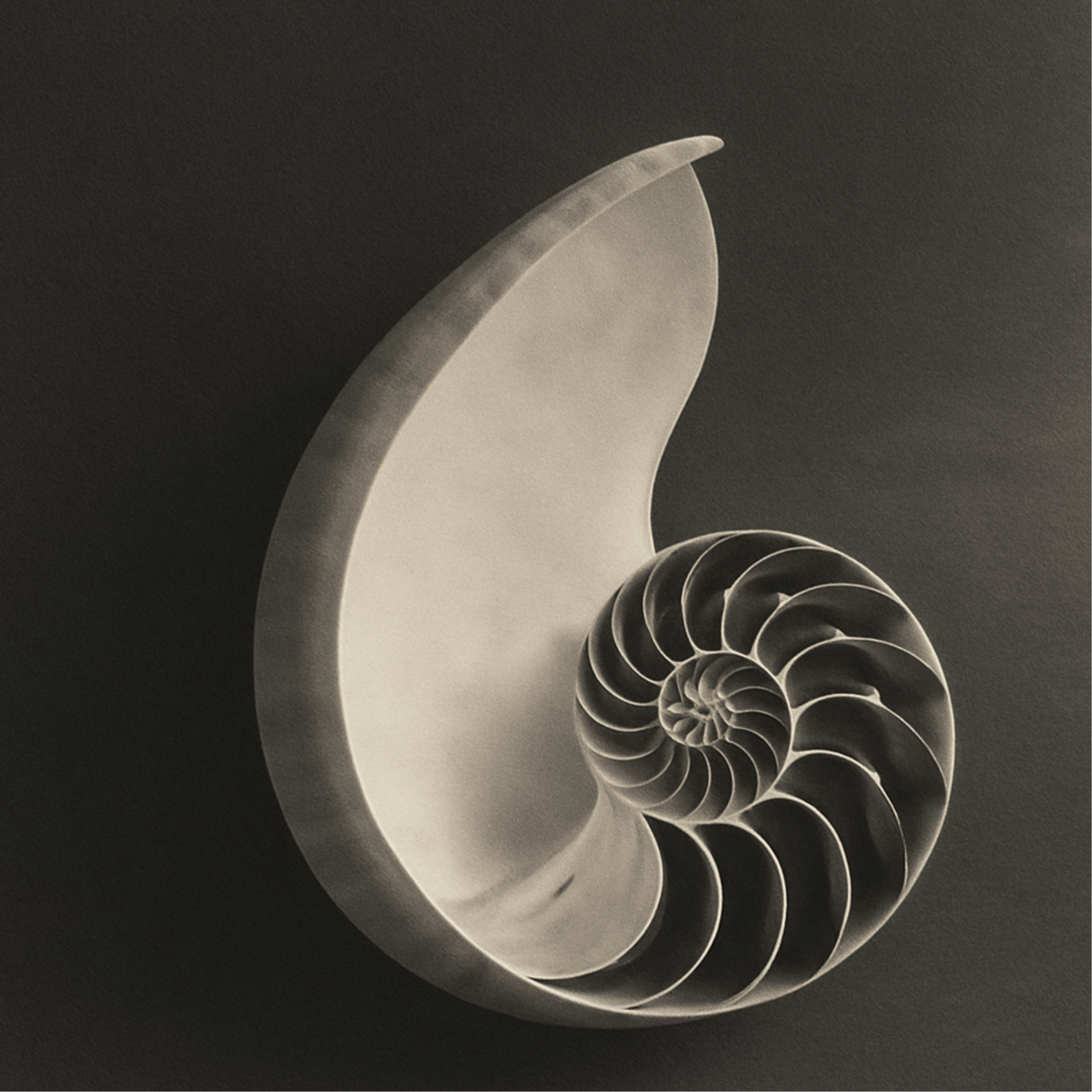 Votre spécialiste en articles médicaux à Paris