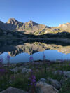 Entre nature et montagne.