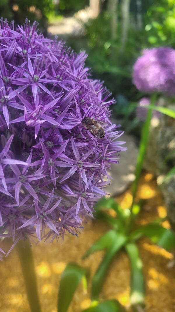 Contrats d'entretien personnalisés