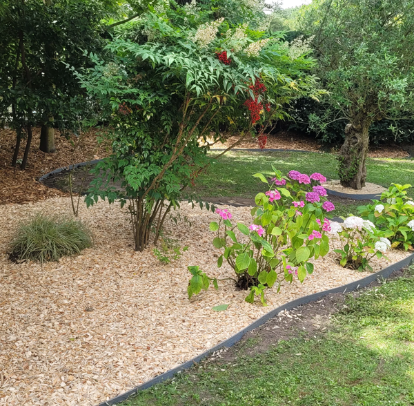 Services d'entretien paysager