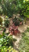 Donnez vie à vos espaces extérieurs