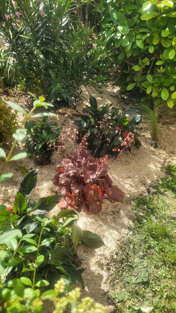 Donnez vie à vos espaces extérieurs