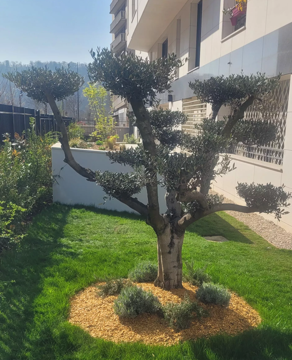 Nos services d'aménagement paysager