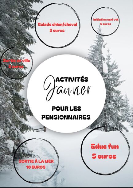 Découvrez nos pensionnaires heureux en images ! n°0