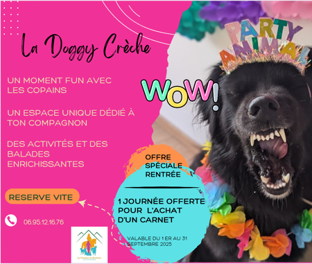 Doggy Crèche : épanouissement !