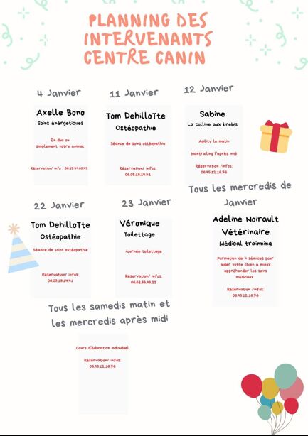 Découvrez nos pensionnaires heureux en images ! n°1