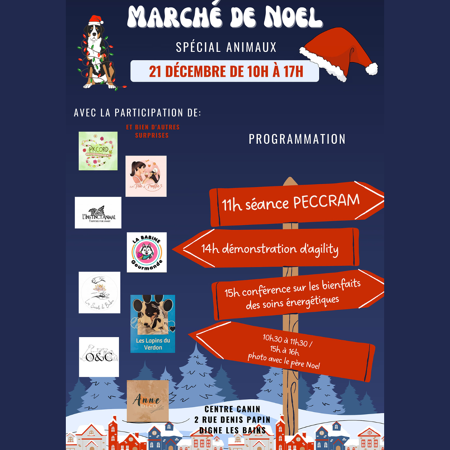 Marché de Noël spécial animaux 🎄