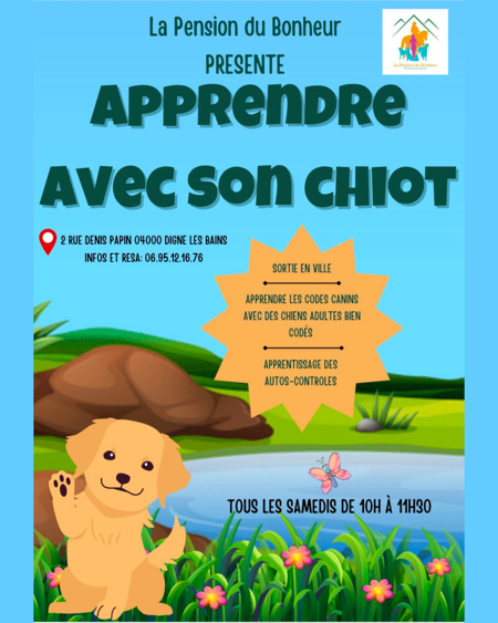 Nouveau propriétaire d’une boule de poils ? Besoin de conseils ? 🐾