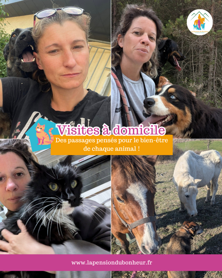 Visites à domicile pour animaux