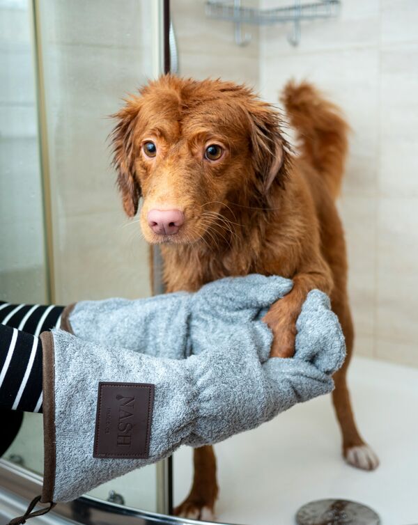 Pourquoi faire appel à un ostéopathe pour son chien ?