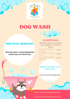 NOUVEAUTÉ : LE DOG WASH