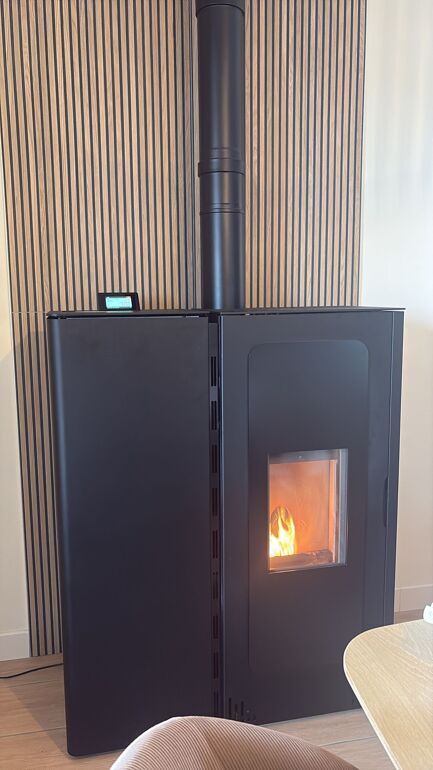 Galerie photo de poêles à bois et granulés n°2
