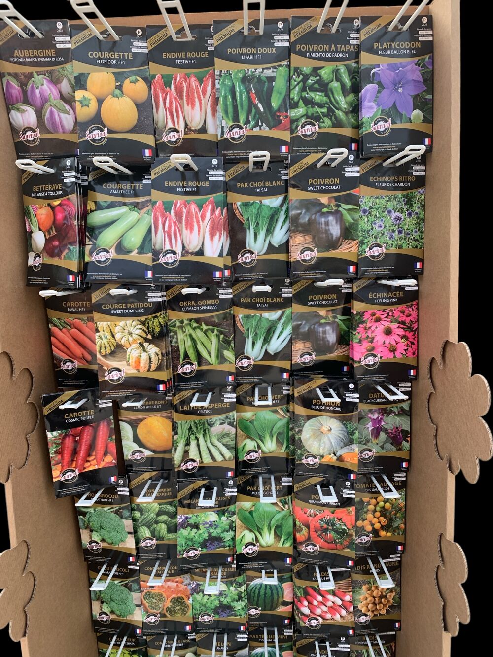  GRAINES & SEMENCES POTAGERES