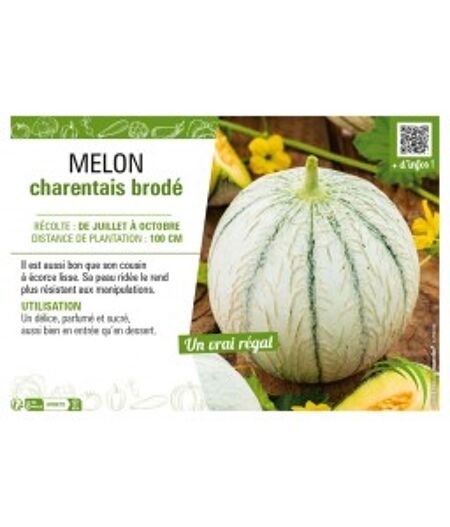 MELON CHARENTAIS