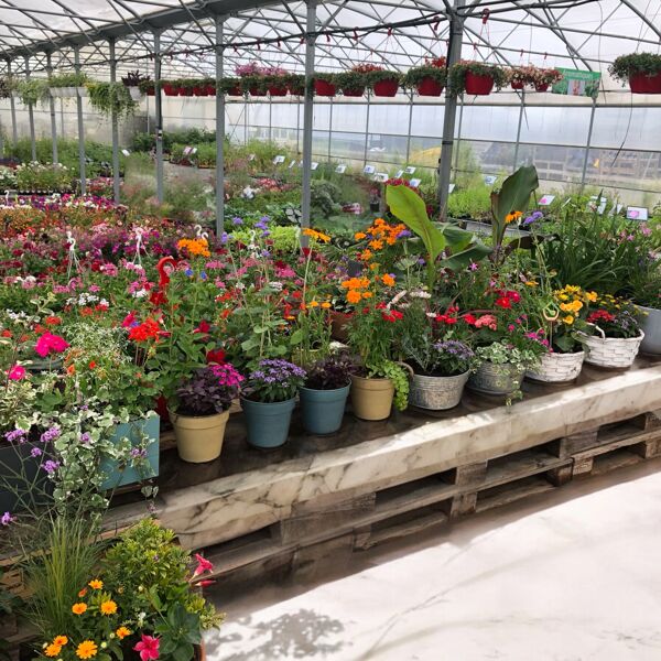 Les Jardins de la Côte<br>jardinerie de proximité vous accompagne pour votre jardin...