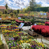 Les Jardins de la Côte, jardinerie de proximité, vous accompagne pour votre jardin...