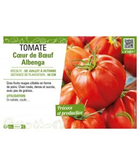 TOMATE COEUR DE BOEUF