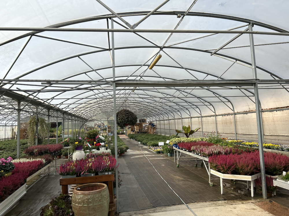 NOTRE GAMME POUR LA TOUSSAINT 