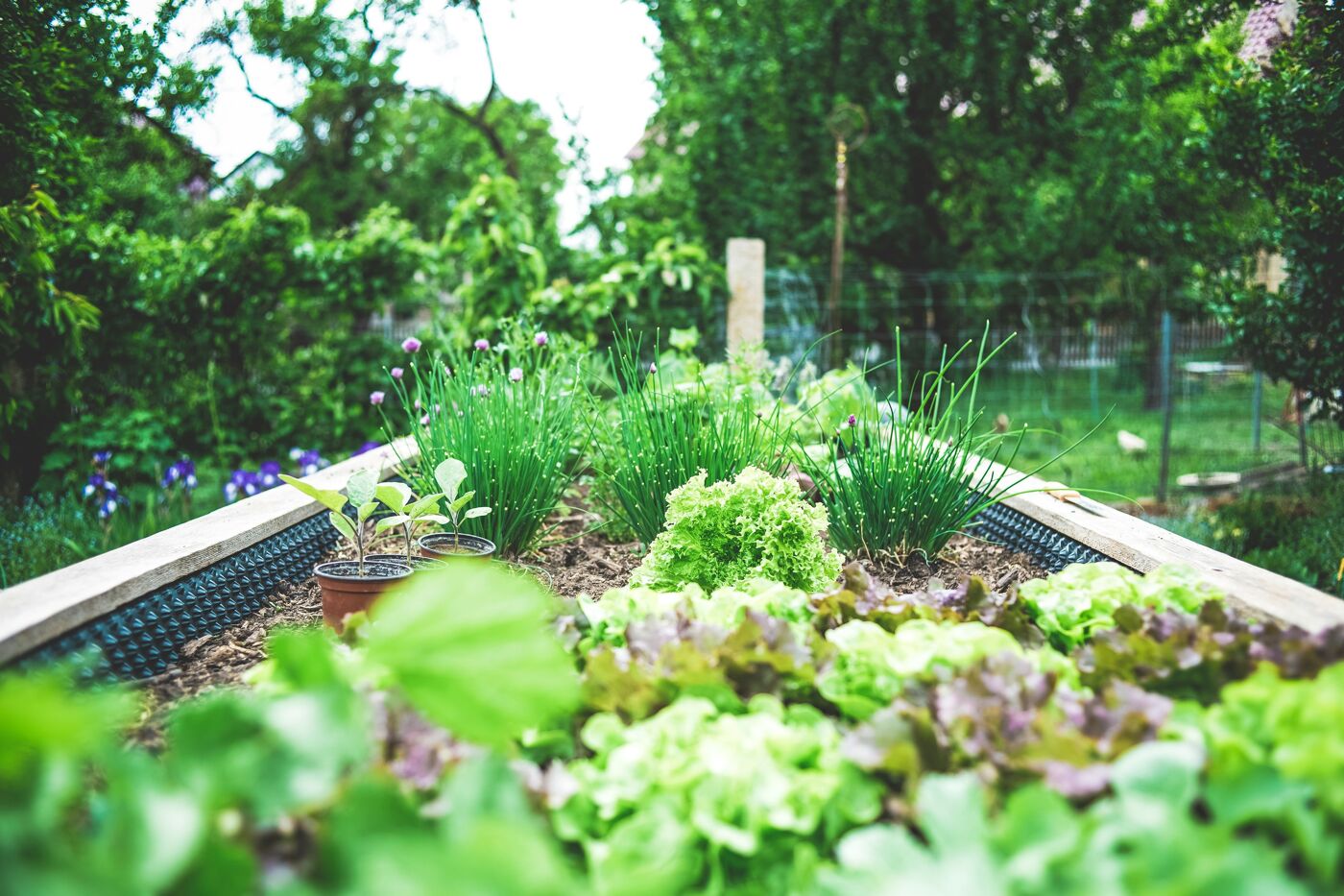 Terreaux et Soins des Plantes - Les Jardins de la Côte