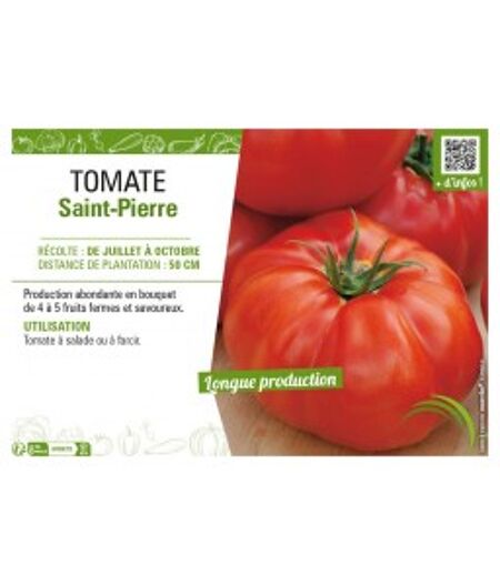 TOMATE SAINT PIERRE