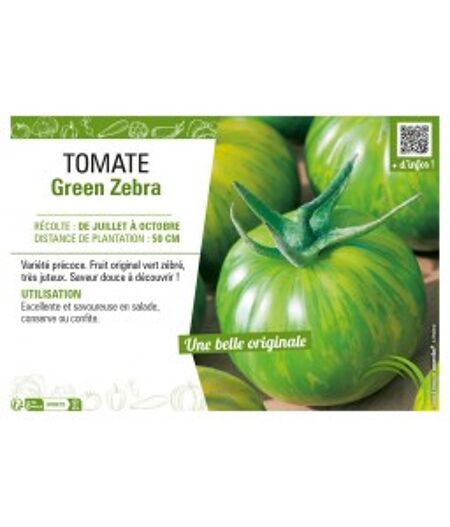 TOMATE GREEN ZEBRA